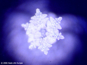 test EMOTO kinema