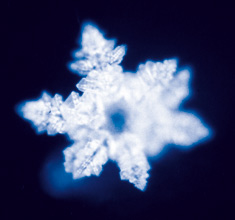 test EMOTO montana