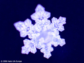 test EMOTO monte cristo